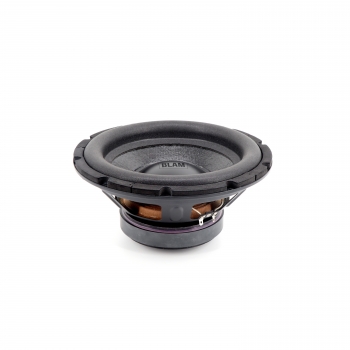 https://www.epicenterofsound.ru/files/products/R10DB.800x600w.jpg?110fe63e3818e21ca4df5d532da4c023