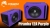DL Piranha 12A Purple