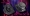 AUDIO NOVA GOTH DC10